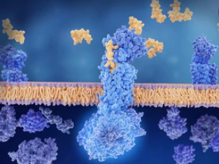 Membrane Protein Research Using the iEM Platform