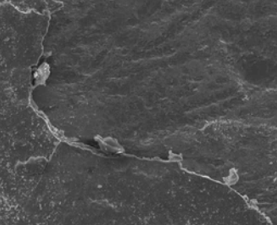 Laboratory test of cracks in a worn out metal sample seen with a scanning electron microscope.