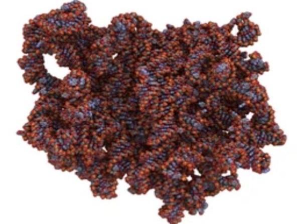 The first cryo-em map of a bacterial 70s ribosome.