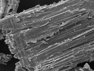 Original scanning electron microscope images of wood sawdust