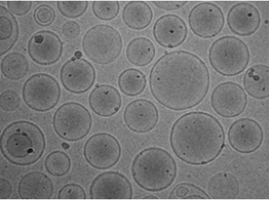 Microscopy visualization of liposomes nanoparticles used in nanomedicine for drug delivery-Cryo-EM.