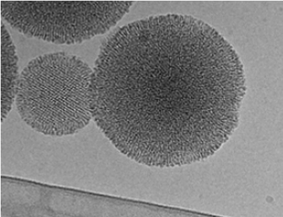 Mesoporous Silica Nanoparticles (MSN) loaded with camptothecin anticancer drug - Cryo-EM microscopy.