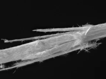 Asbestos fibers