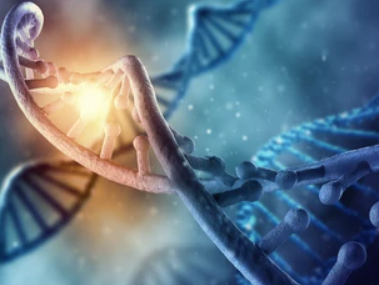 Nucleic Acid Characterization Using the iEM Platform